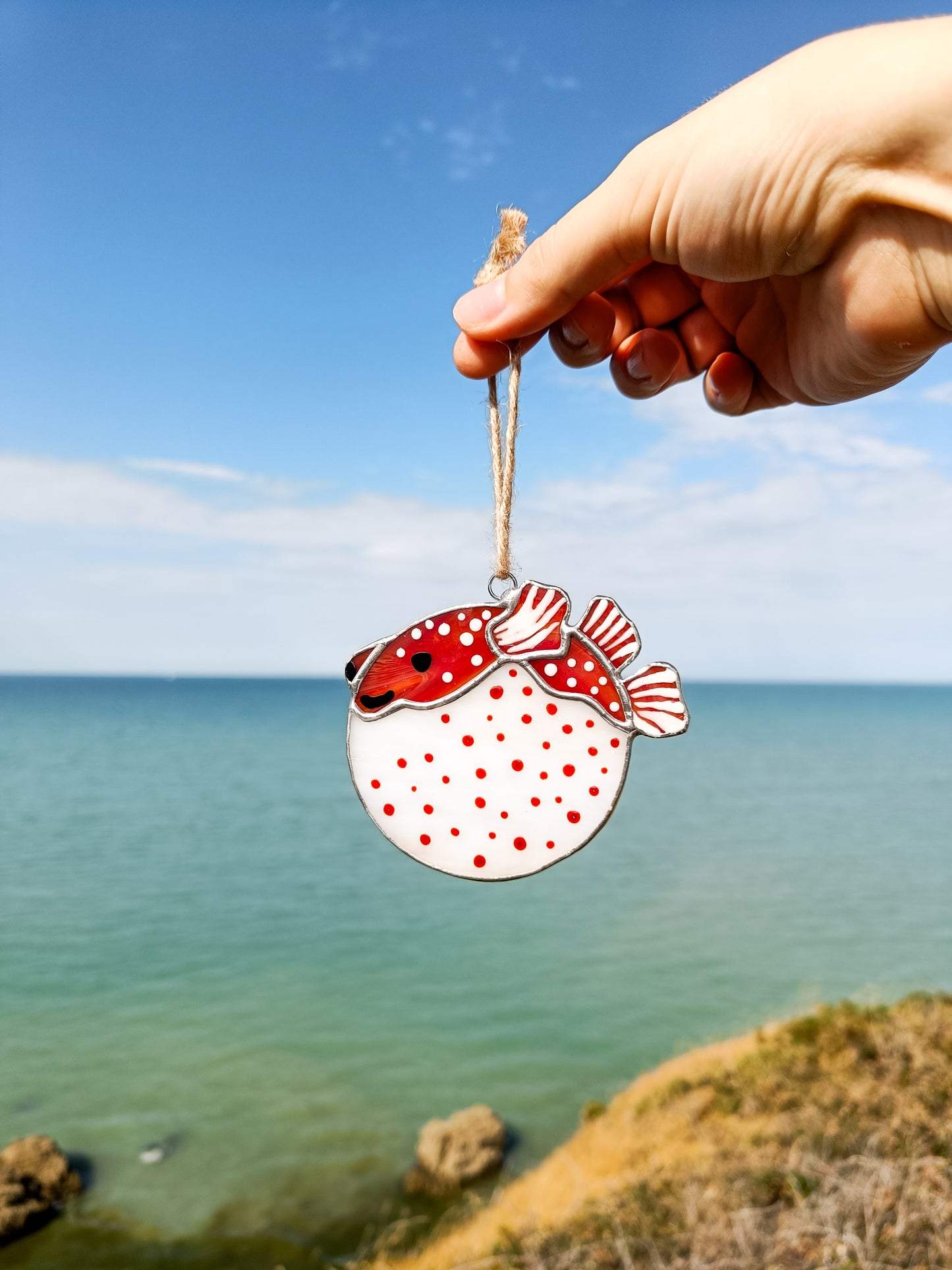 🌊POISSON-BALLON - Collection Été🌊