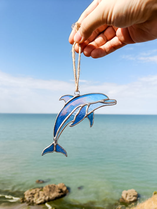 🌊DOLPHIN - Summer Collection🌊