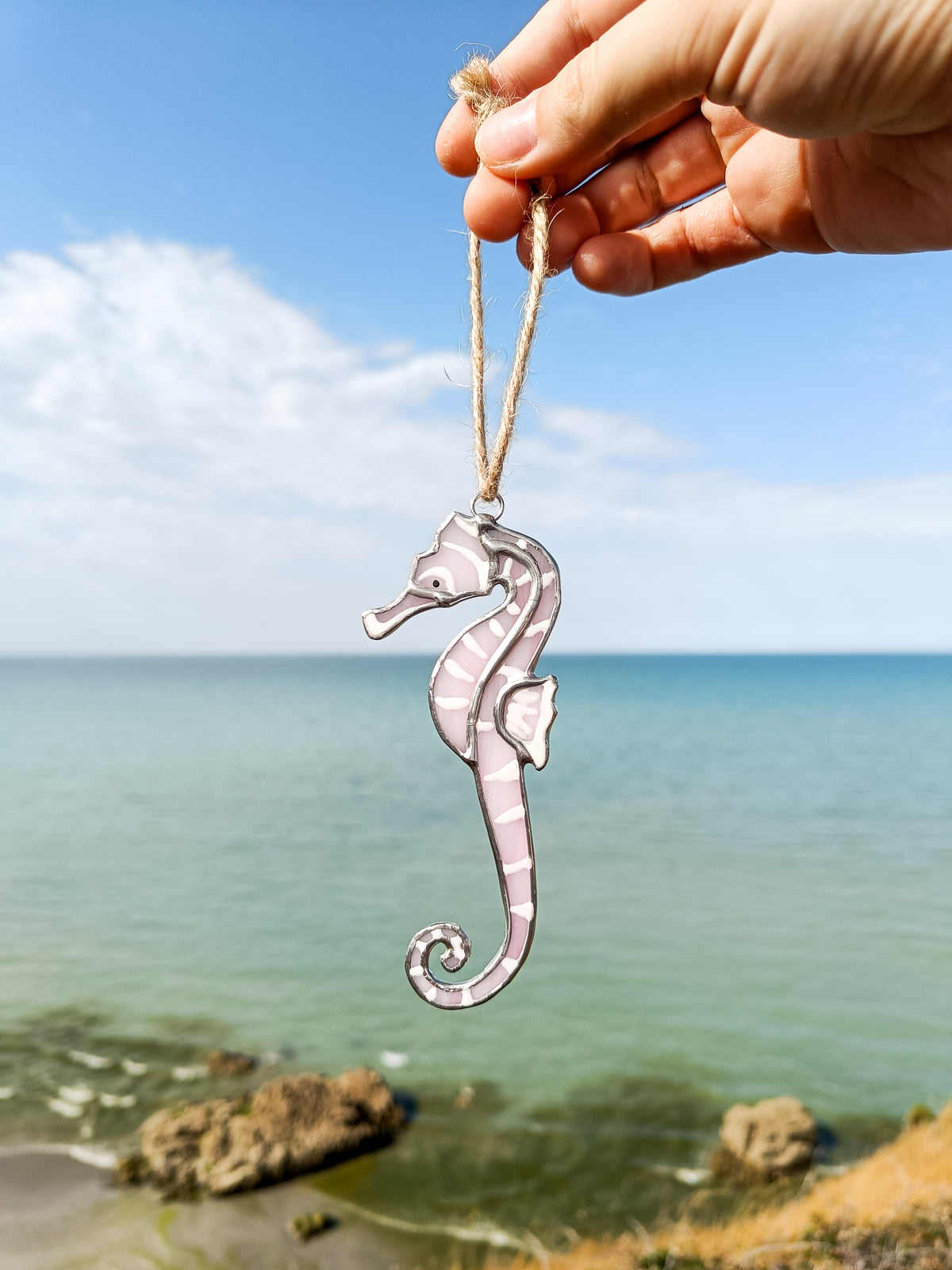 🌊SEAHORSE - Summer Collection🌊