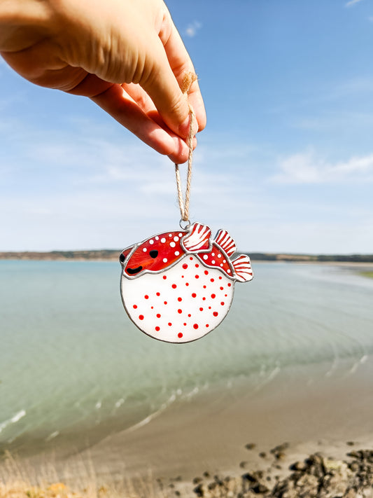 🌊POISSON-BALLON - Collection Été🌊